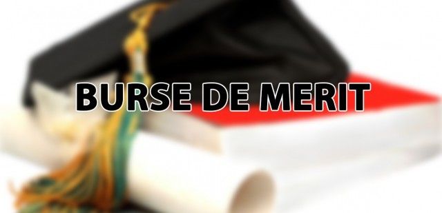 burse de merit